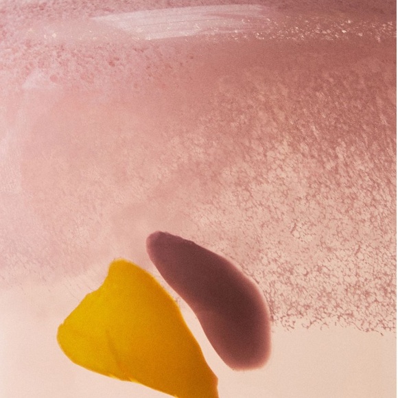 Lullia Vase - Picture 7 of 7